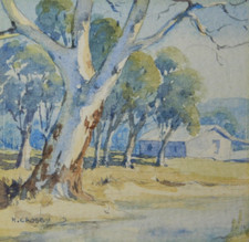 AUSTRALIAN MINIATURE