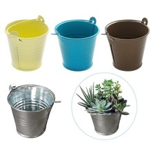 5 Pieces Small Metal Buckets