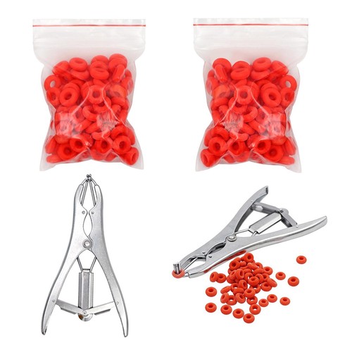 Castration bands livestock - castration,