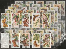 ADKIN-FULL SET- BUTTERFLIES &