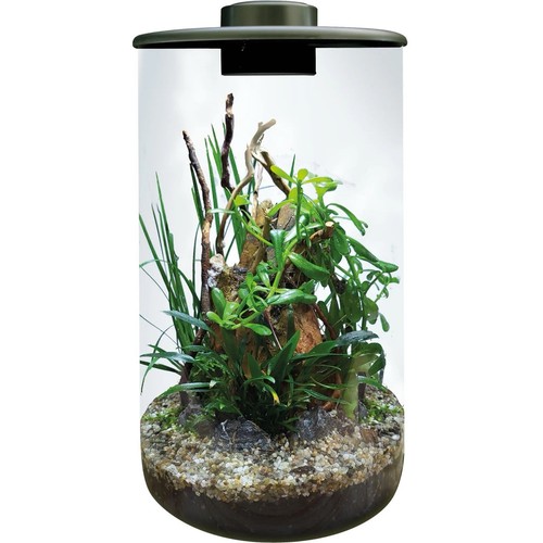 Bioart cylinder 285 - cylinder,