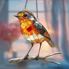 Large Robin Bird On Twig
