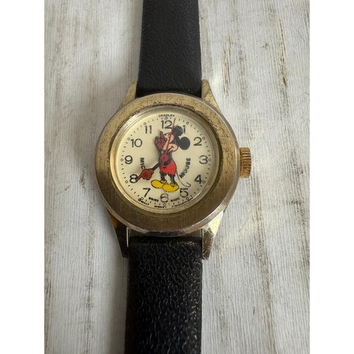 Bradley mickey mouse disney - mouse,