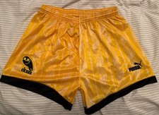 Sheffield Wednesday 1993/94