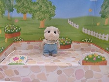 Sylvanian Families Pettyfur Guinea Pig Baby Boy Figure