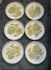 Set Of Six Denby Troubadour