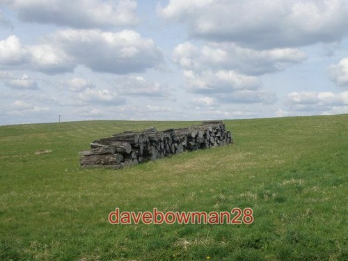 Photo timber stack - timber,