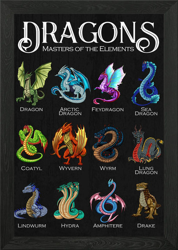 Dragon types chart - chart, framed