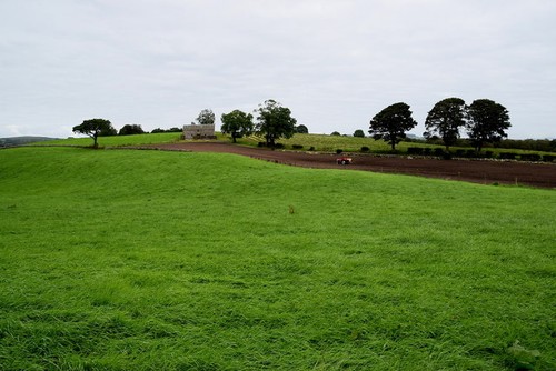 Photo 6x4 green field - a,