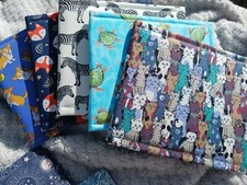 Disabled blue badge holder