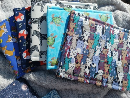 Disabled blue badge holder