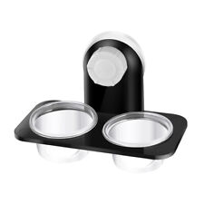 Gecko Food Holder Feeding