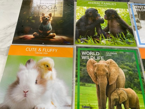 2026 calendar selection - calendar,