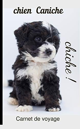 Chien caniche carnet de - chien,