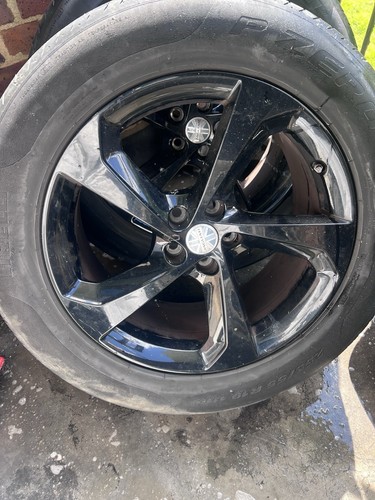 Black glossy jaguar - 19”,