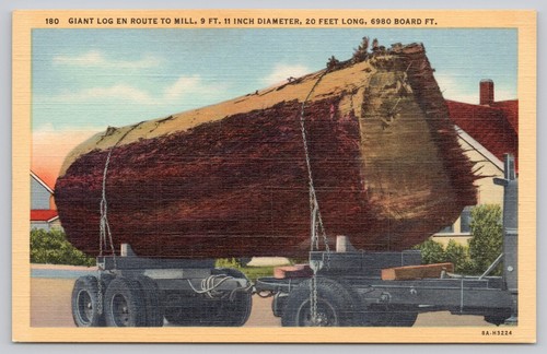 Giant logging truck postcard - giant,