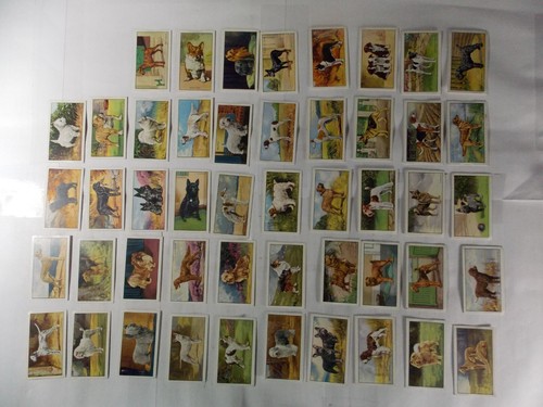 Gallaher cigarette cards - cigarette, dogs