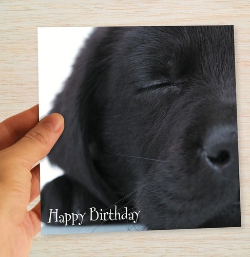 Birthday cards labrador - -, &