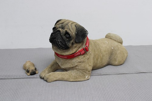 Sandi cast pug fawn - pug,