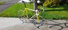 Raleigh Dynatech 500 Road