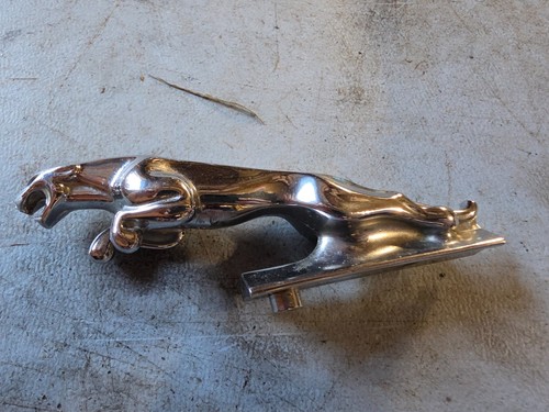 Jaguar leaper bonnet chrome - bonnet,