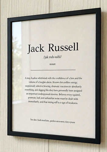 Jack russell definition - jack,