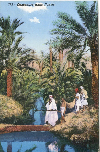 Hunters oasis arab - hunters,