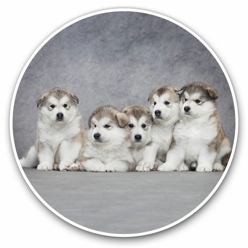 Vinyl stickers 5cm - 2,