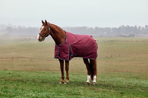 Weatherbeeta comfitec prelim - comfitec,