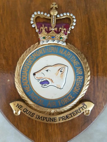 Vintage royal air force - royal,