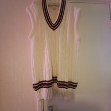 A Mens Sleavles Cricket Jumper