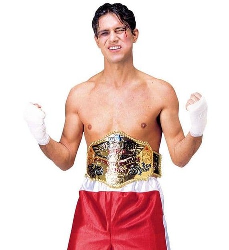 World champion wrestling belt - world,