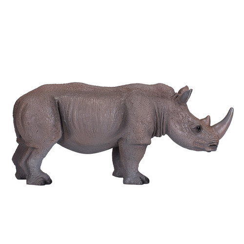 White rhinoceros wild zoo - wild,