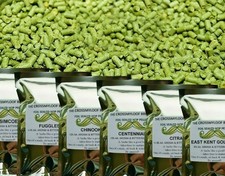 25g/50g Home Brew Hops Citra Fuggles Saaz Cascade Sabro Galena Strata Melon etc