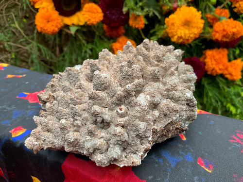 Cave calcite crystal - cave, cluster