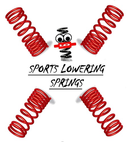 Lowering springs for fiat - lo,