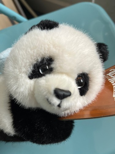 Cuddly little panda soft - panda, toy