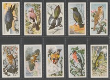 BIRD PORTRAITS - A COMPLETE BROOKE BOND 1957 SET OF TRADE CARDS - VG - EX