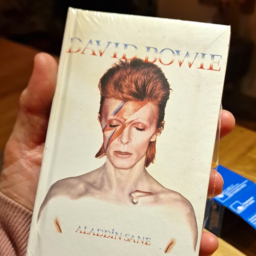 David bowie notebook aladdin - david,