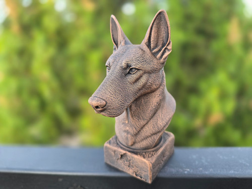 Dutch shepherd bust - shepherd,