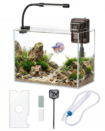 Gallon glass fish - glass,