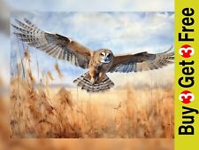 Flying Barn Owl 5"x7" Print on