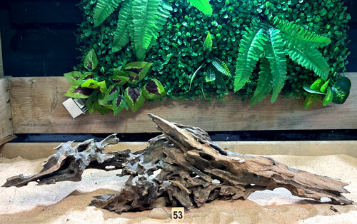 Dragon wood natural aquarium - natural,