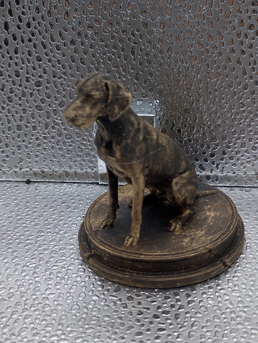 Hungarian vizsla dog bust - hungarian, –