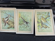 Basil Ede Vintage Rare Bird