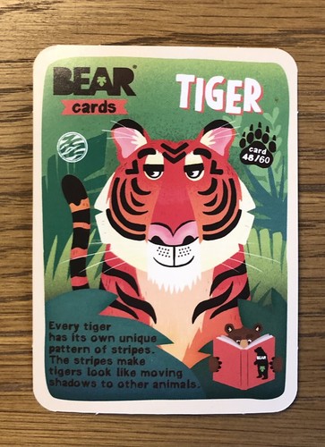 Bear brand new animals - brand,