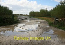 Photo - Puddles on the old