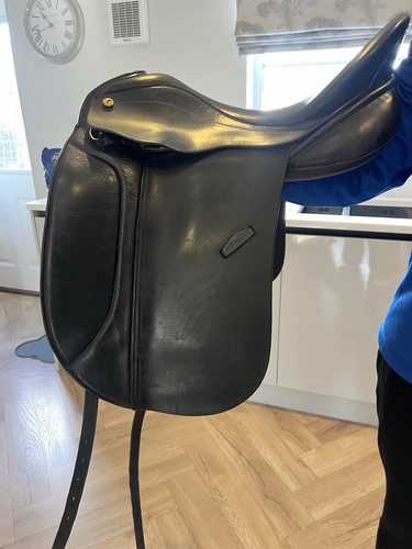 Exselle black dressage - exselle,