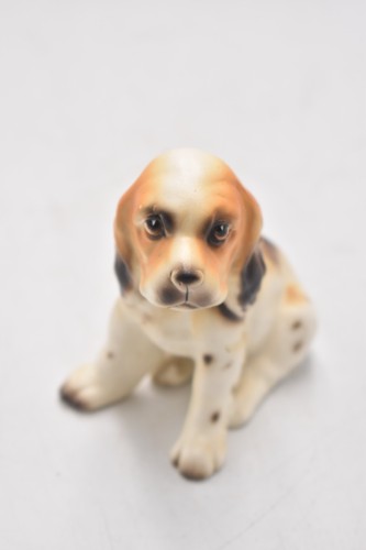 Vintage 1950s cocker spaniel - cocker,