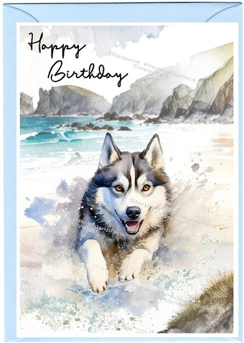 Siberian husky dog - x, 6")